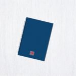 10 Waala Biscuit Kitne Ka Hai Ji? A5 Spiral 100 Pages - Image 2